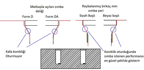 siyah-basli-ve-beyaz-basli-zimba-cizim